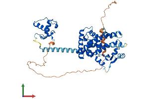 AlphaFold protein structure predicition of Mouse Recombinant Ppara Protein, UniprotID P23204