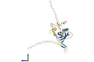 AlphaFold protein structure predicition of Human Recombinant PDZD9 Protein, UniprotID Q8IXQ8