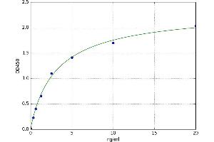 Cytochrome B5 Reductase 3 (CYB5R3) ELISA Kit