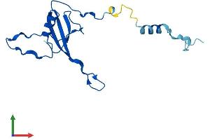 AlphaFold protein structure predicition of Human Recombinant MRPL23 Protein, UniprotID Q16540