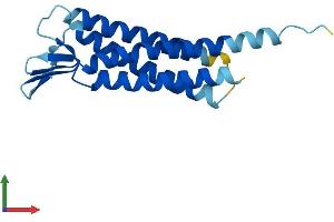 AlphaFold protein structure predicition of Mouse Recombinant Cldnd2 Protein, UniprotID Q9D9H2 (CLDND2 Protein (AA 1-167) (His tag))