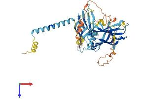 AlphaFold protein structure predicition of Mouse Recombinant Syt12 Protein, UniprotID Q920N7