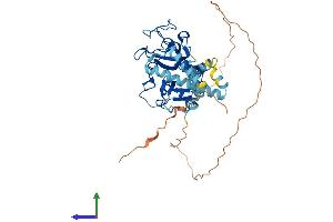 AlphaFold protein structure predicition of Human Recombinant UBR7 Protein, UniprotID Q8N806
