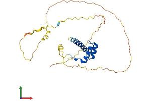 AlphaFold protein structure predicition of Human Recombinant HOXB9 Protein, UniprotID P17482