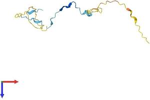 AlphaFold protein structure predicition of Human Recombinant PCLAF Protein, UniprotID Q15004