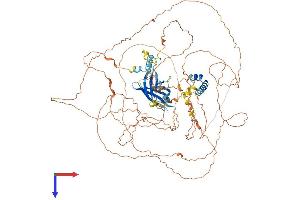 AlphaFold protein structure predicition of Mouse Recombinant Map10 Protein, UniprotID Q8BJS7