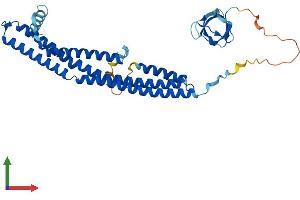AlphaFold protein structure predicition of Mouse Recombinant Sh3gl2 Protein, UniprotID Q62420