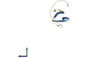 AlphaFold protein structure predicition of Human Recombinant KRT15 Protein, UniprotID P19012