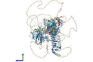 AlphaFold protein structure predicition of Mouse Recombinant Nisch Protein, UniprotID Q80TM9