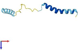 AlphaFold protein structure predicition of Human Recombinant SERP2 Protein, UniprotID Q8N6R1