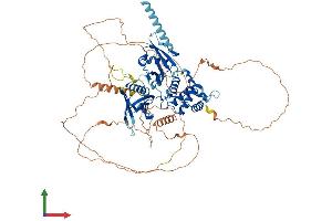 AlphaFold protein structure predicition of Human Recombinant EPB41L5 Protein, UniprotID Q9HCM4