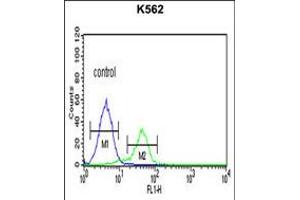 Flow cytometric analysis of K562 cells (right histogram) compared to a negative control cell (left histogram). (CD40 Ligand anticorps  (C-Term))