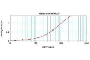 Image no. 3 for anti-Vascular Endothelial Growth Factor A (VEGFA) antibody (ABIN465335)