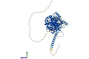 AlphaFold protein structure predicition of Mouse Recombinant Mtmr1 Protein, UniprotID Q9Z2C4