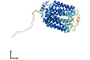 AlphaFold protein structure predicition of Human Recombinant SLC17A5 Protein, UniprotID Q9NRA2