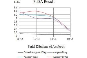 Black line: Control Antigen (100 ng),Purple line: Antigen (10 ng), Blue line: Antigen (50 ng), Red line:Antigen (100 ng) (ATG4B anticorps  (AA 1-221))