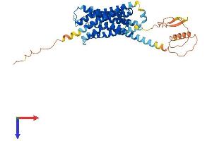 AlphaFold protein structure predicition of Human Recombinant DRD3 Protein, UniprotID P35462