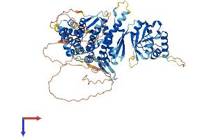 AlphaFold protein structure predicition of Human Recombinant BBS12 Protein, UniprotID Q6ZW61
