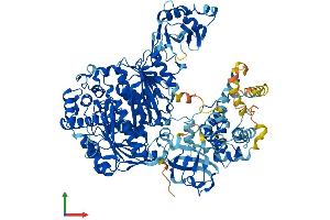 AlphaFold protein structure predicition of Human Recombinant UBA7 Protein, UniprotID P41226