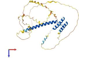 AlphaFold protein structure predicition of Human Recombinant ATOH8 Protein, UniprotID Q96SQ7