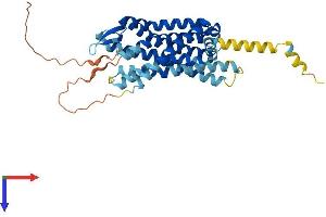 AlphaFold protein structure predicition of Human Recombinant OPRK1 Protein, UniprotID P41145