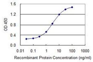 Detection limit for recombinant GST tagged CHFR is 0. (CHFR anticorps  (AA 136-194))