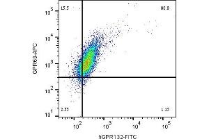 Multicolor flow cytometry with GPR132 and GPR68Human  monocytic leukemia cell line was labeled by adding Anti-Human GPR132/G2A (extracellular)-FITC Antibody (ABIN7237643, ABIN7316594, ABIN7316595, ABIN7316596 and ABIN7316597), (5 μg) and Anti-GPR68 (OGR1) (extracellular)-APC Antibody (ABIN7582036), (5 μg). (G Protein-Coupled Receptor 132 anticorps  (Extracellular) (FITC))