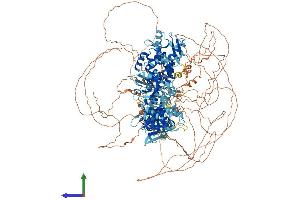 AlphaFold protein structure predicition of Mouse Recombinant Rapgef2 Protein, UniprotID Q8CHG7