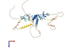 AlphaFold protein structure predicition of Human Recombinant LHX9 Protein, UniprotID Q9NQ69