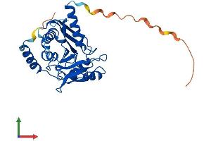 AlphaFold protein structure predicition of Human Recombinant ENDOV Protein, UniprotID Q8N8Q3