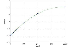 Lipase, Hormone-Sensitive (LIPE) ELISA Kit