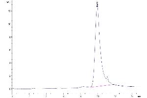 The purity of Cynomolgus TSLP is greater than 95 % as determined by SEC-HPLC.