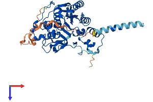 AlphaFold protein structure predicition of Human Recombinant B3GNT7 Protein, UniprotID Q8NFL0