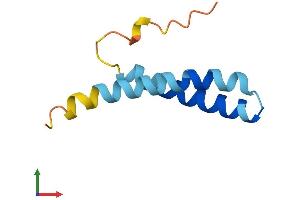 AlphaFold protein structure predicition of Mouse Recombinant Ss18l2 Protein, UniprotID Q9D174