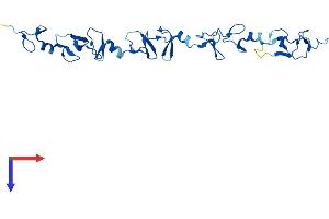 AlphaFold protein structure predicition of Mouse Recombinant Fhl2 Protein, UniprotID O70433