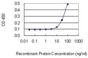 Detection limit for recombinant GST tagged KRT6B is 3 ng/ml as a capture antibody. (Keratin 6B anticorps  (AA 1-564))