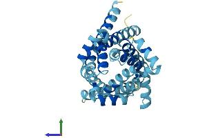 AlphaFold protein structure predicition of Mouse Recombinant Slc25a15 Protein, UniprotID Q9WVD5