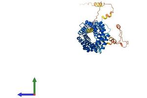 AlphaFold protein structure predicition of Mouse Recombinant Ttc23 Protein, UniprotID Q8CHY7