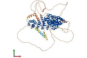 AlphaFold protein structure predicition of Human Recombinant PKP3 Protein, UniprotID Q9Y446