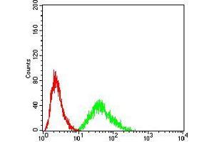 Flow cytometric analysis of Hela cells using DDX3X mouse mAb (green) and negative control (red).
