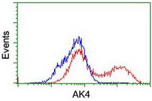 HEK293T cells transfected with either RC220572 overexpress plasmid (Red) or empty vector control plasmid (Blue) were immunostained by anti-AK4 antibody (ABIN2454868), and then analyzed by flow cytometry. (AK4 anticorps)