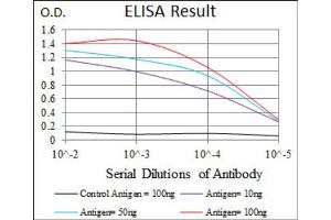 Red: Control Antigen (100ng) ; Purple: Antigen (10ng) ; Green: Antigen (50ng) ; Blue: Antigen (100ng). (BPIFA2 anticorps)