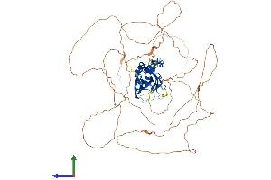 AlphaFold protein structure predicition of Mouse Recombinant Tbr1 Protein, UniprotID Q64336
