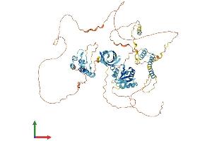 AlphaFold protein structure predicition of Mouse Recombinant Bank1 Protein, UniprotID Q80VH0