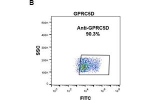 Flow Cytometry (FACS) image for anti-G Protein-Coupled Receptor, Family C, Group 5, Member D (GPRC5D) (AA 1-27) antibody (ABIN7092890) (GPRC5D anticorps  (AA 1-27))