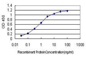 Detection limit for recombinant GST tagged RSU1 is approximately 0.