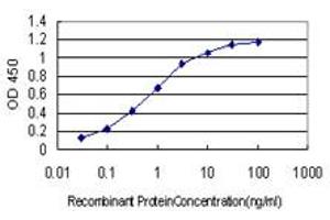 Detection limit for recombinant GST tagged RSU1 is approximately 0. (RSU1 anticorps  (AA 1-277))