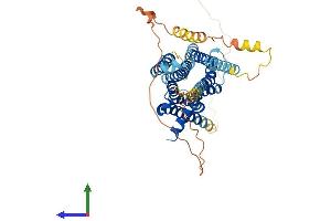 AlphaFold protein structure predicition of Human Recombinant DRD2 Protein, UniprotID P14416