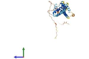 AlphaFold protein structure predicition of Human Recombinant PBX3 Protein, UniprotID P40426