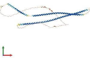 AlphaFold protein structure predicition of Human Recombinant KRT86 Protein, UniprotID O43790